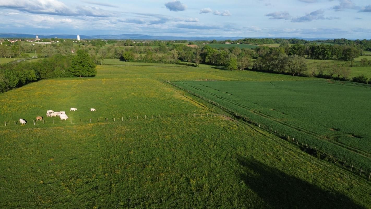 JAYAT Ferme  80 m2 dépendances sur terrain  5000 m2 3