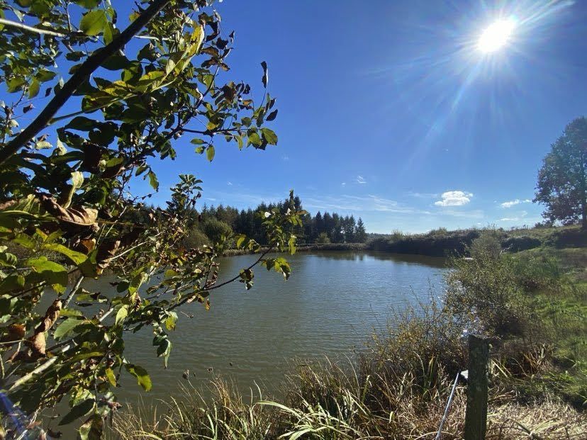 Fermette avec etang et ses 2,8ha de terrain à Sarlande 6 pièce(s) 139 m2