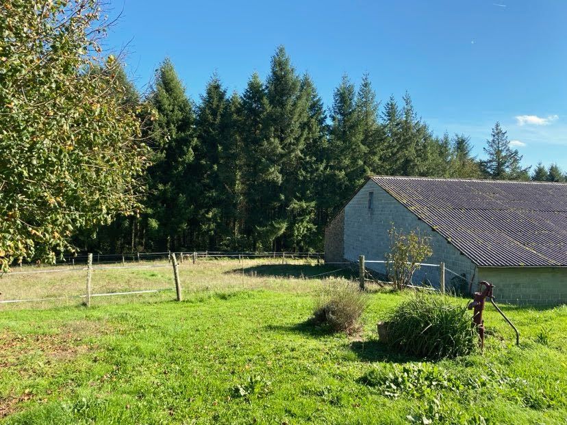 SARLANDE Fermette avec etang et ses 2,8ha de terrain à Sarlande 6 pièce(s) 139 m2 3