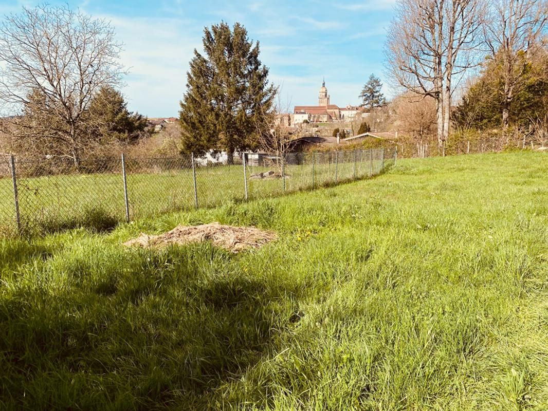 SAINT-AMOUR Maison individuelle plein coeur de Saint Amour d'une surface de 113 m2 avec terrain de 1'167m2 4