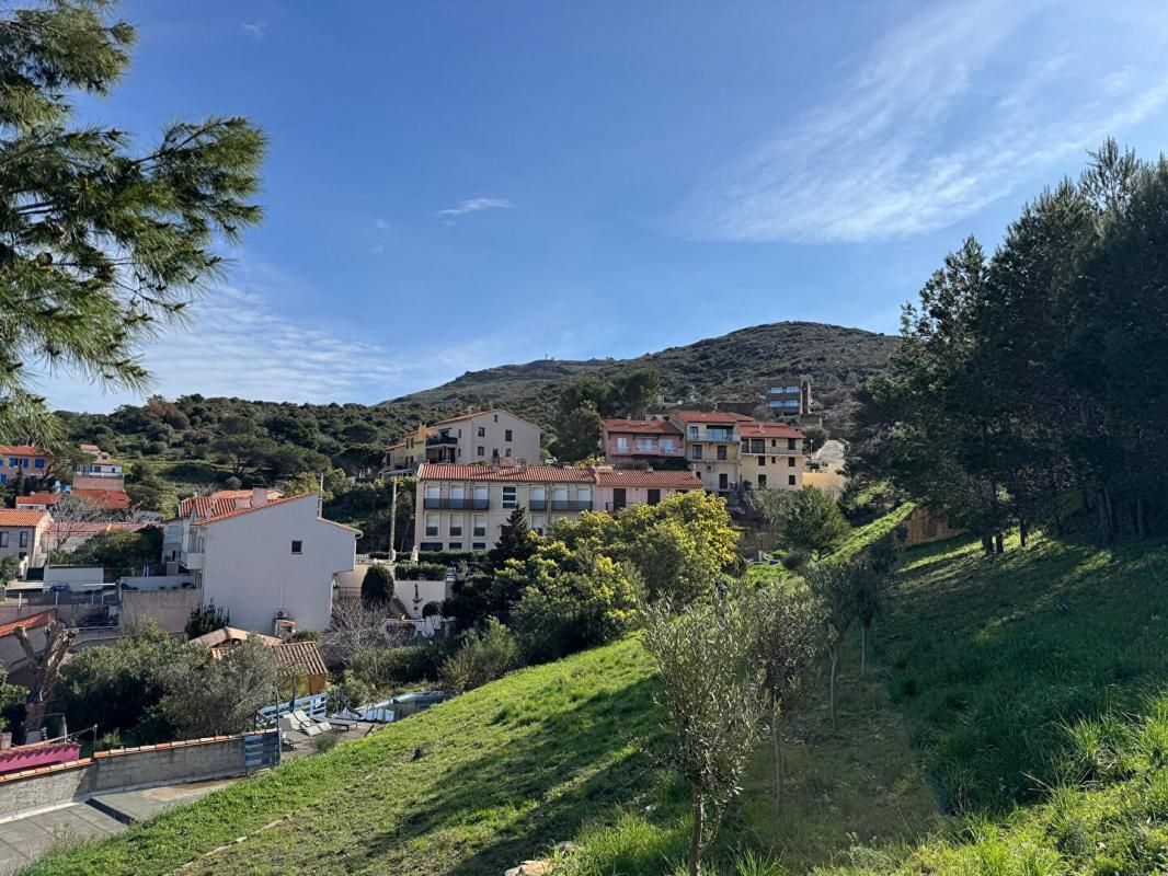 PORT-VENDRES À Vendre : TERRAIN D'EXCEPTION de 727 m² AVEC VUE MER & MONTAGNES 3