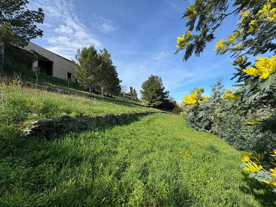 PORT-VENDRES À Vendre : TERRAIN D'EXCEPTION de 727 m² AVEC VUE MER & MONTAGNES 4