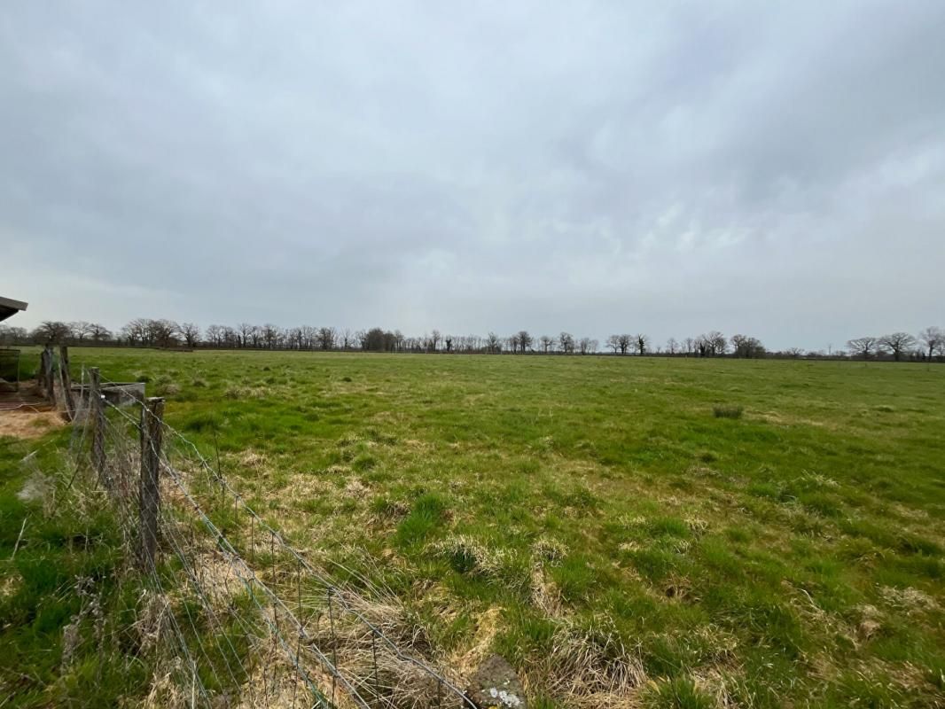 MOULINS Terrain Moulins 45000 m2 avec bâtiment 700 m2 3