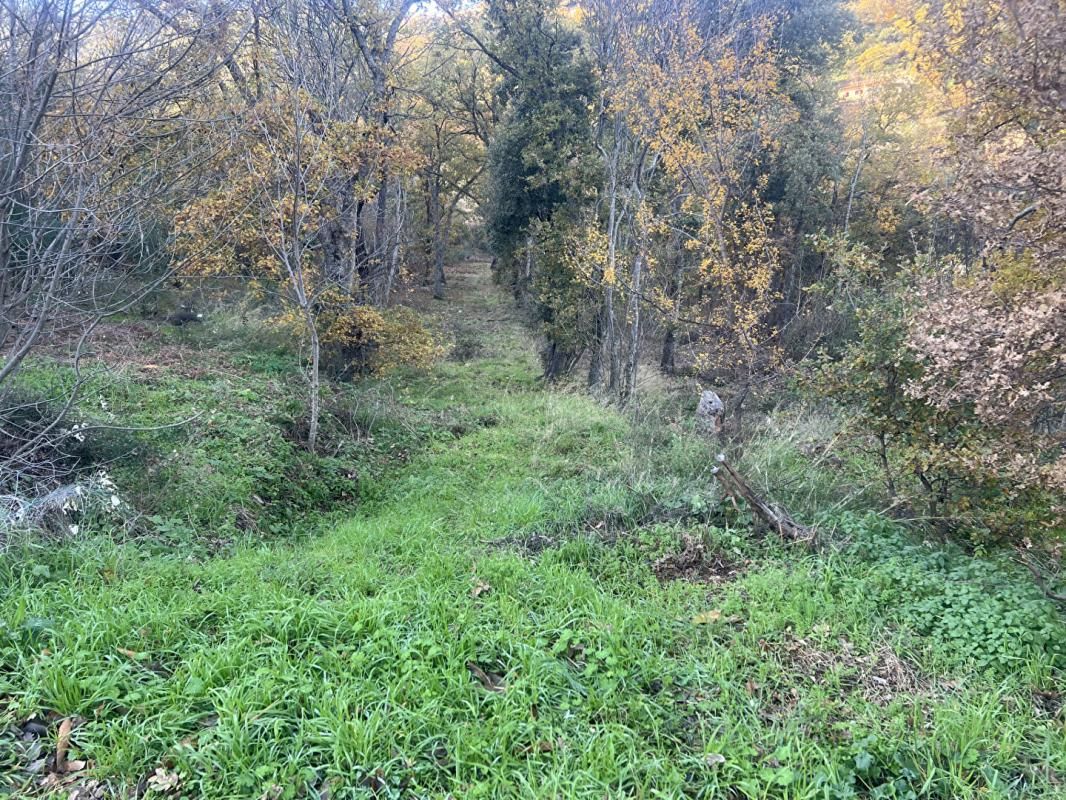 VILLE-DI-PARASO Terrain Constructible de 2000 m² - Pardina-1 2