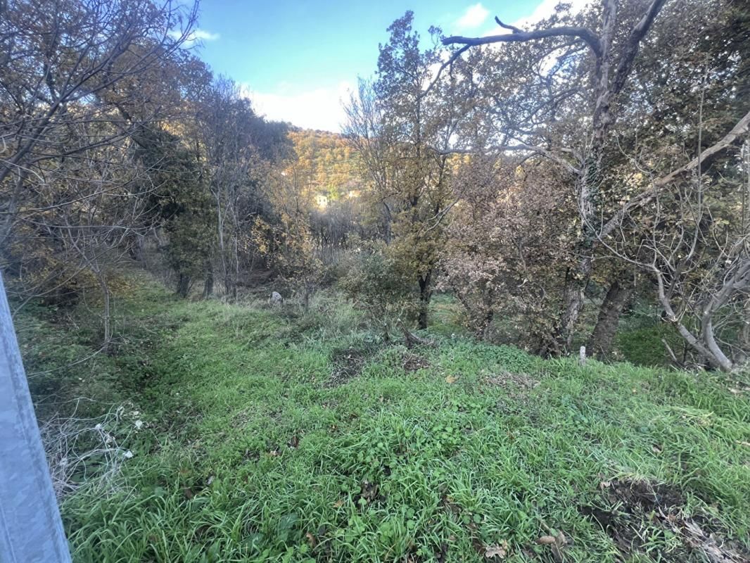 VILLE-DI-PARASO Terrain Constructible de 2000 m² - Pardina-1 3