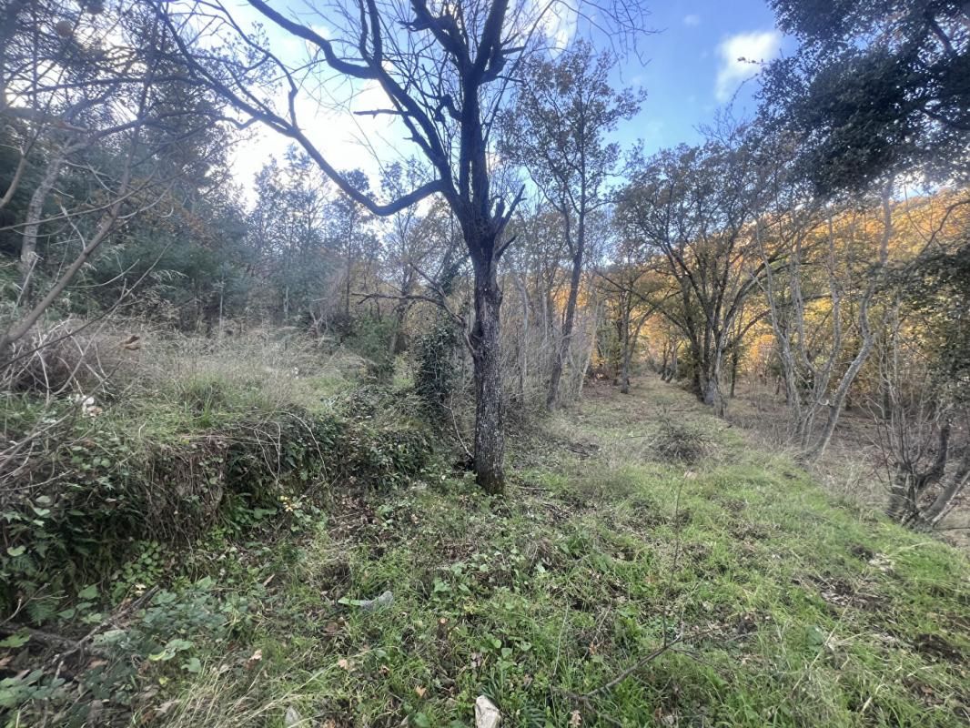 VILLE-DI-PARASO Terrain Constructible de 2000 m² - Pardina-1 4