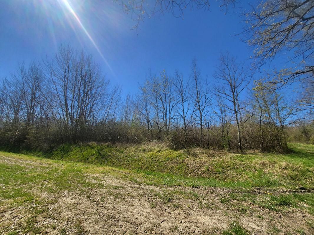 CASTELNAU-DE-MEDOC Terrain 7061 m2 2