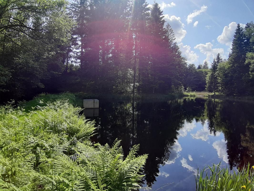 FAUCOGNEY-ET-LA-MER Etang 9268 m2 plateau des mille étangs 3