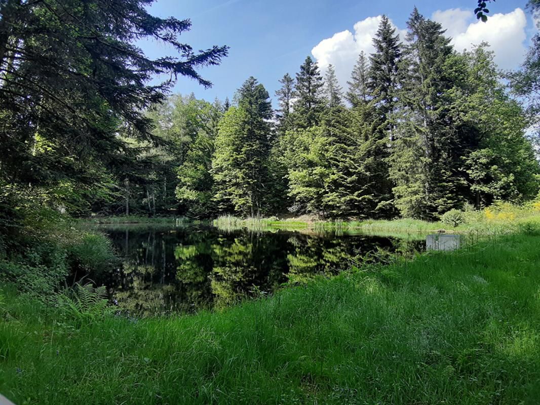 FAUCOGNEY-ET-LA-MER Etang 9268 m2 plateau des mille étangs 4
