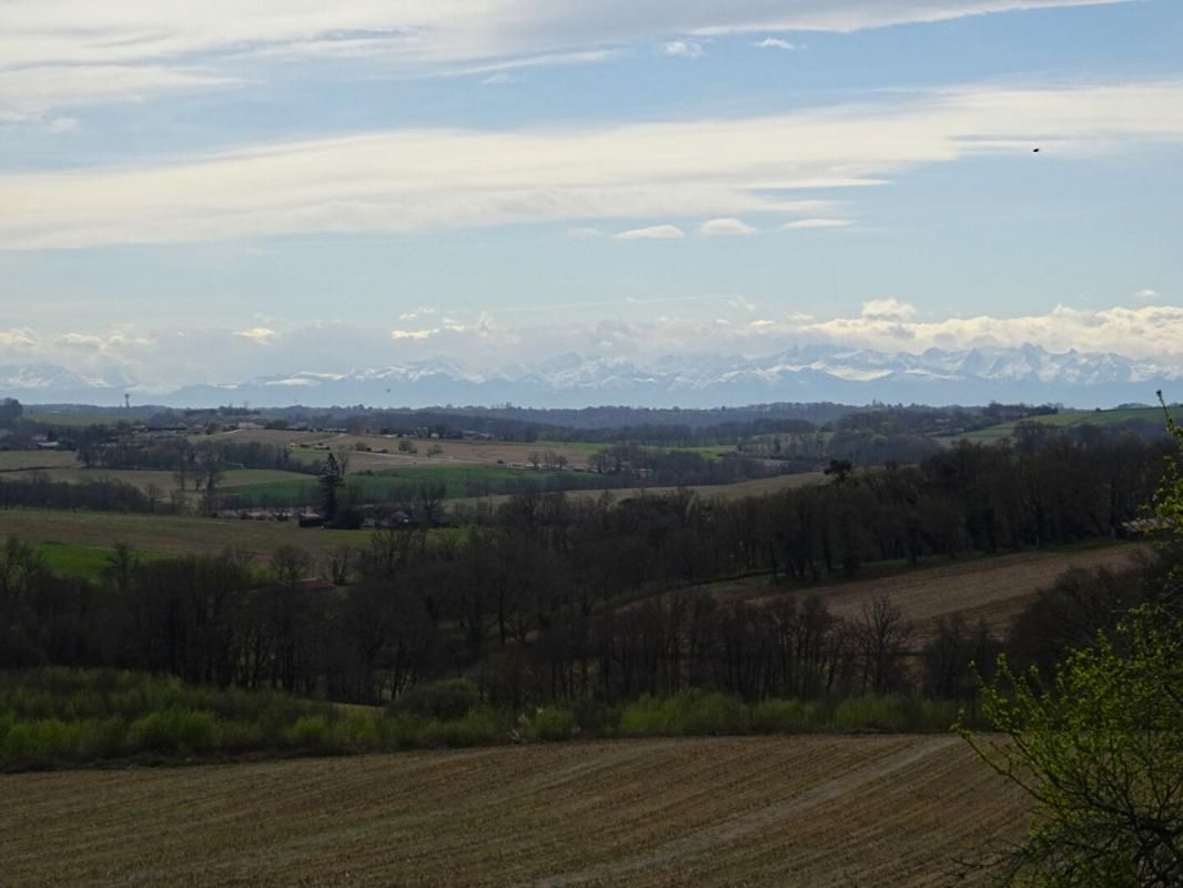 CAUPENNE Landes 40250 Caupenne, propriété 25 ha avec habitation et dépendances 2