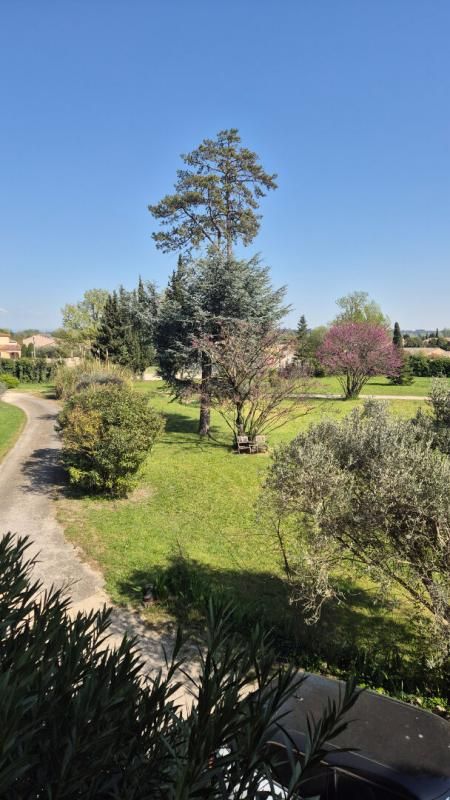 AVIGNON Château Avignon 17 pièce(s) 580 m2 4