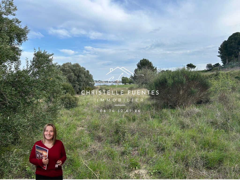 BOUZIGUES HERAULT - BOUZIGUES (34140) - TERRAIN DE LOISIRS - 3885M2 4
