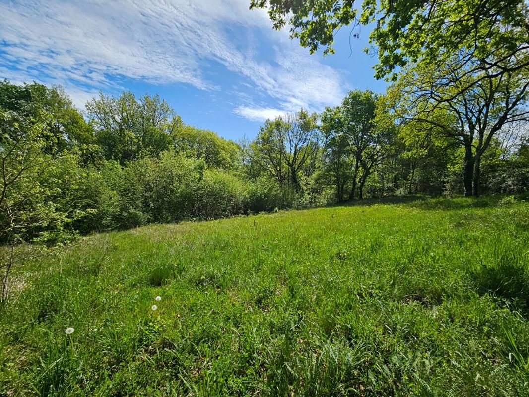 5 min de Brive - TERRAIN CONSTRUCTIBLE avec TOUT-A-L'EGOUT- 1980m² + 8500m² de BOIS - 47 590 euros