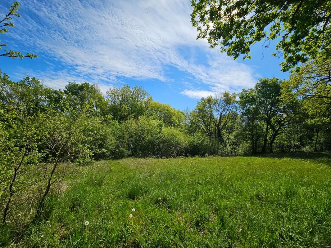 BRIVE-LA-GAILLARDE 5 min de Brive - TERRAIN CONSTRUCTIBLE avec TOUT-A-L'EGOUT-  1980m² + 8500m² de BOIS - 47 590 euros 2