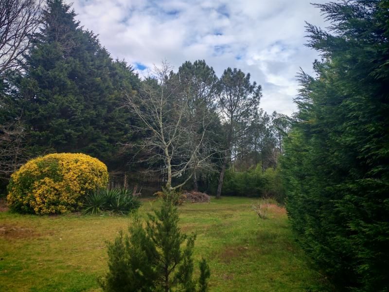 SAINT-PAUL-LES-DAX Maison ST VINCENT DE PAUL 114 m2  TERRAIN 2361 m2 3