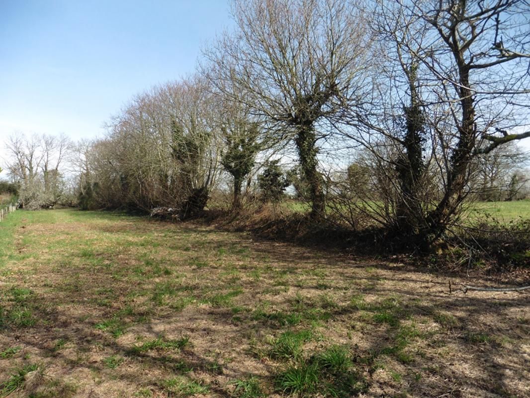 LE TREVOUX Terrain constructible LE TREVOUX 1102 m2 2