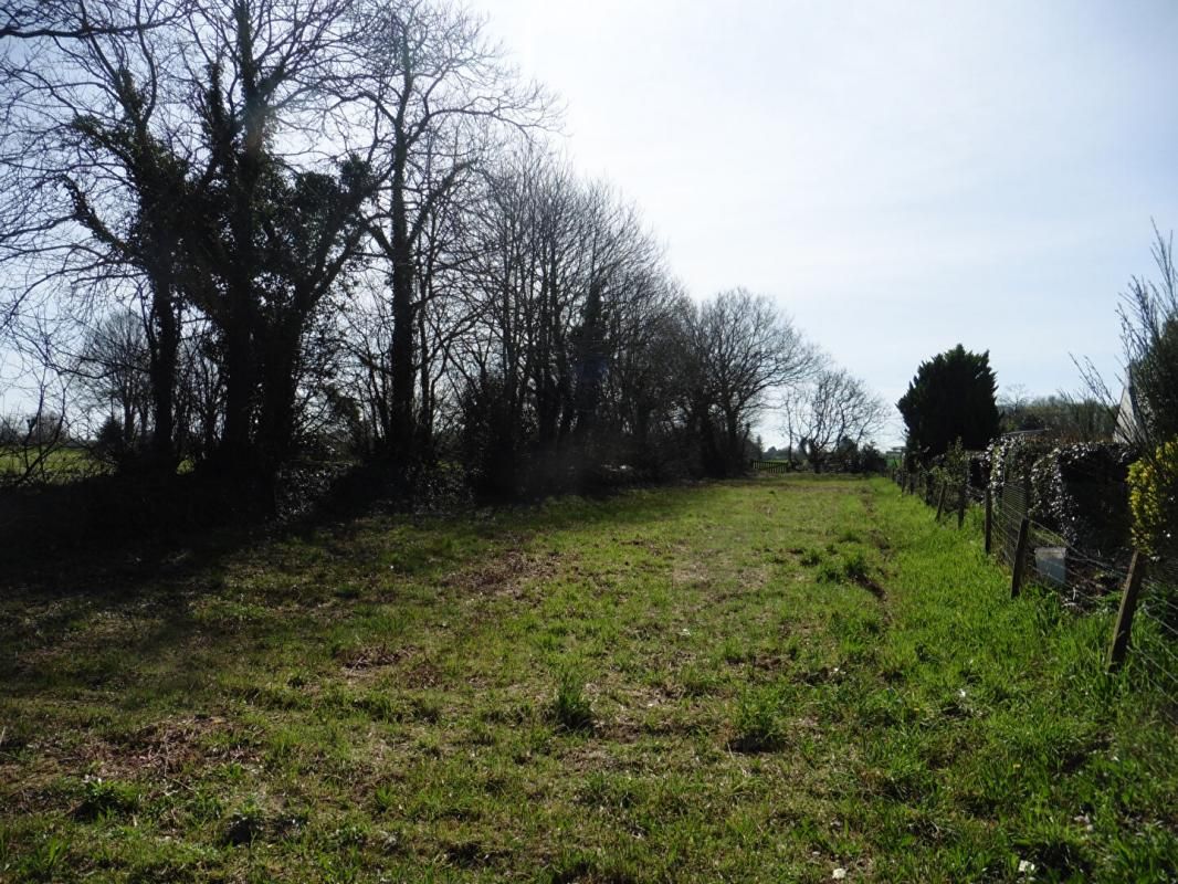 LE TREVOUX Terrain constructible LE TREVOUX 1102 m2 3