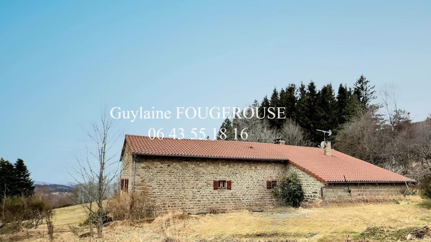 Maison en pierre avec 1 hectare de terrain attenant 7 pièce(s) 220 m2