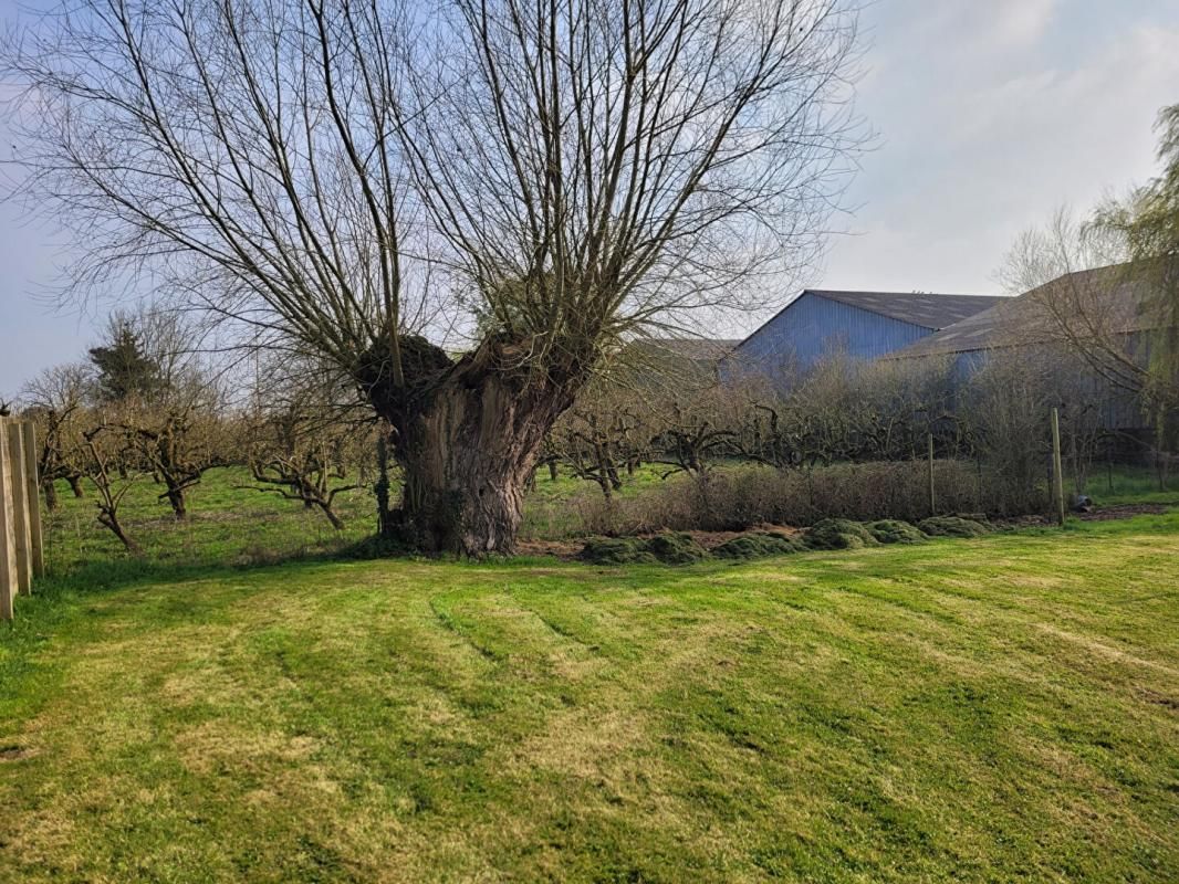 Auchy Lez Orchies Terrain à bâtir