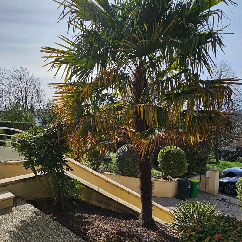 LE MANS Maison Le Mans 243 m2 sur 1200 m2 jardin LE MANS 3