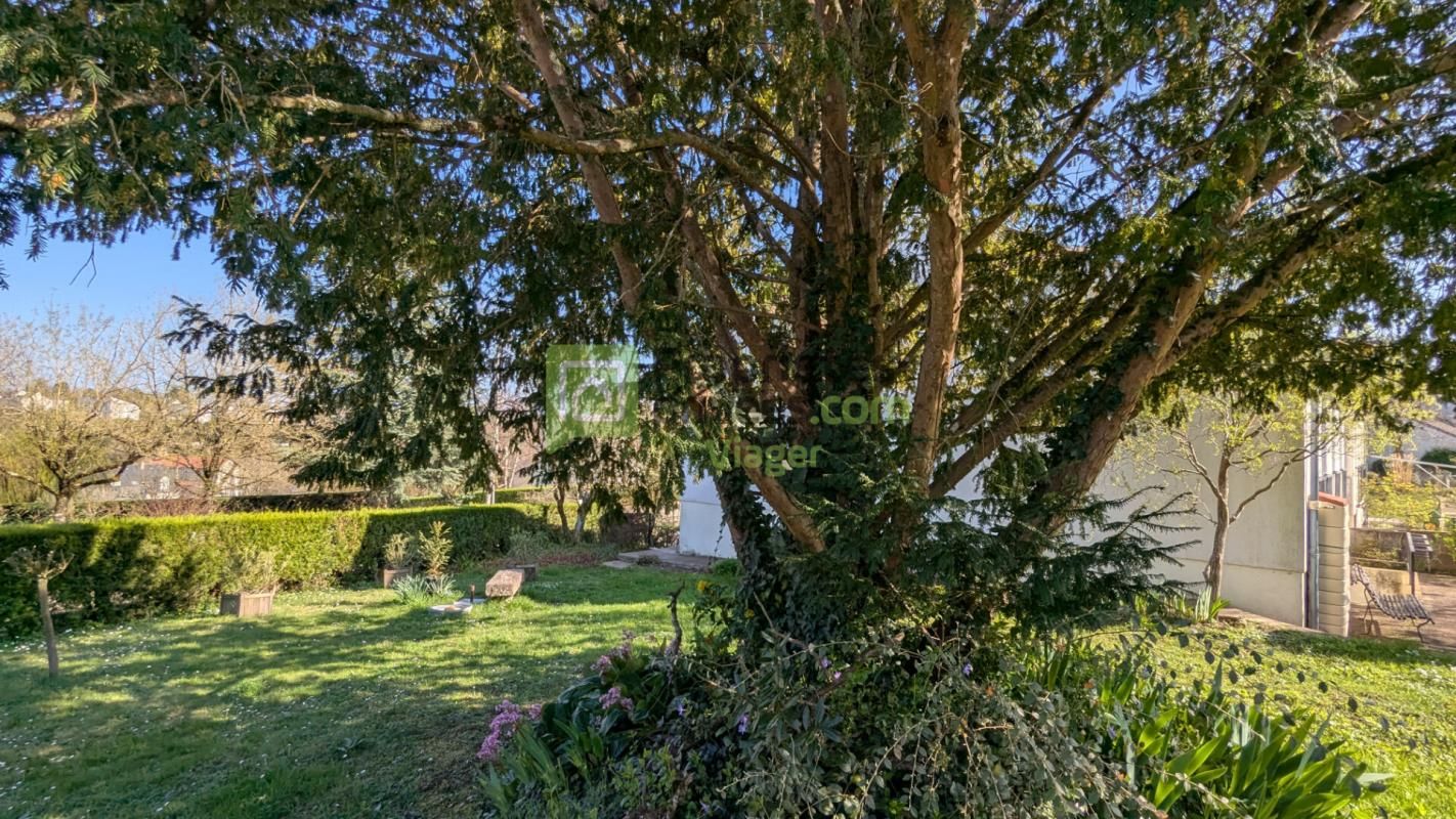 LANGEAIS Maison en viager occupé.Langeais 37 2