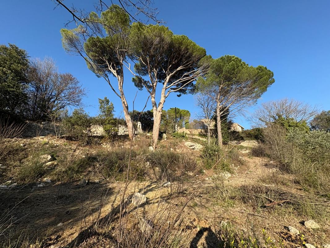APT Terrain Apt 1245 m2 2