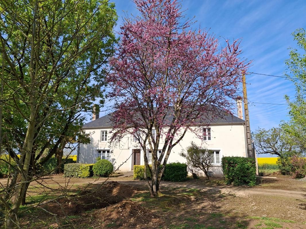 Maison Mouzeuil Saint Martin 8 pièce(s) 250 m2