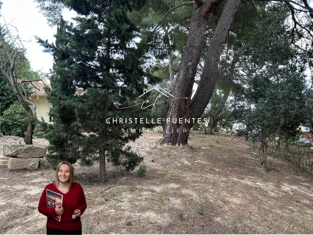 BOUZIGUES HERAULT - BOUZIGUES (34140) - TERRAIN CONSTRUCTIBLE - 700M2 3