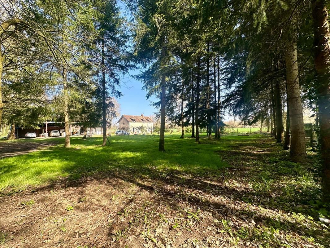 Maison de campagne rénovée avec 11 hectares de forêt - Pontvallain