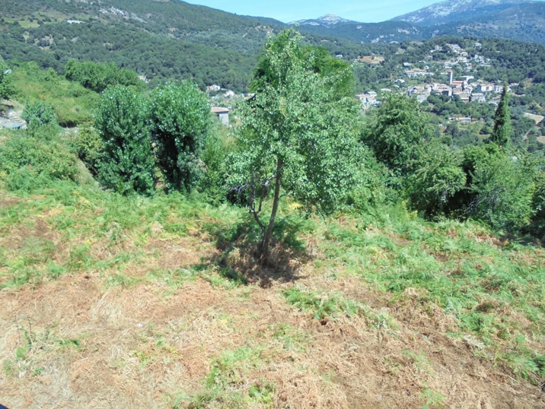 VICO MAISON DE CHARME A VICO 2