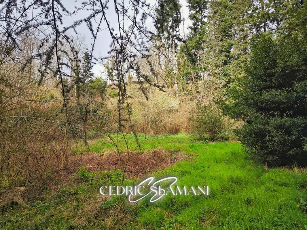 SAISSAC EN EXCLUSIVITE MAISON 135 M2, 3 CHAMBRE, 1 SALON, 2 CUISINE, 1 SALLE DE BAIN, 1 WC, 1 GRENIER, JARDIN 3500 M2 3
