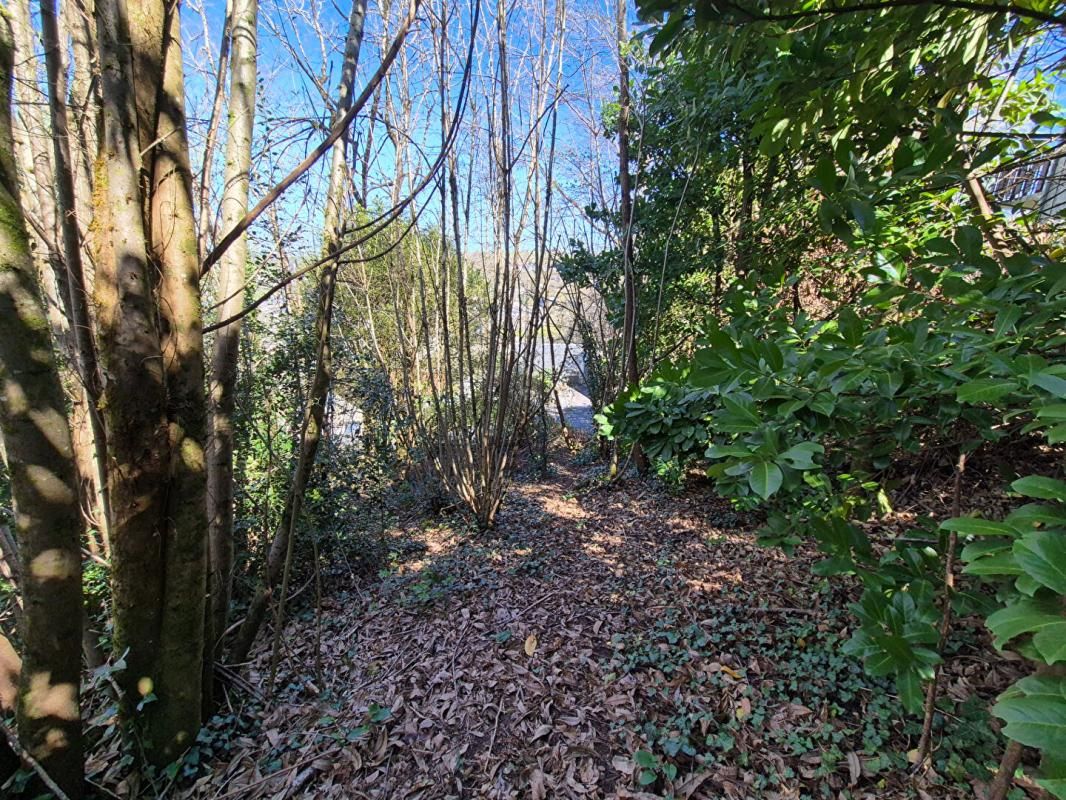 Terrain Tulle 1430 m2