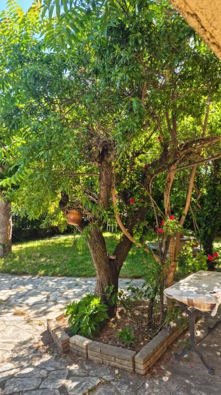AVIGNON Maison AVIGNON route de Montfavet 6 pièces 169 m² 345 000 4