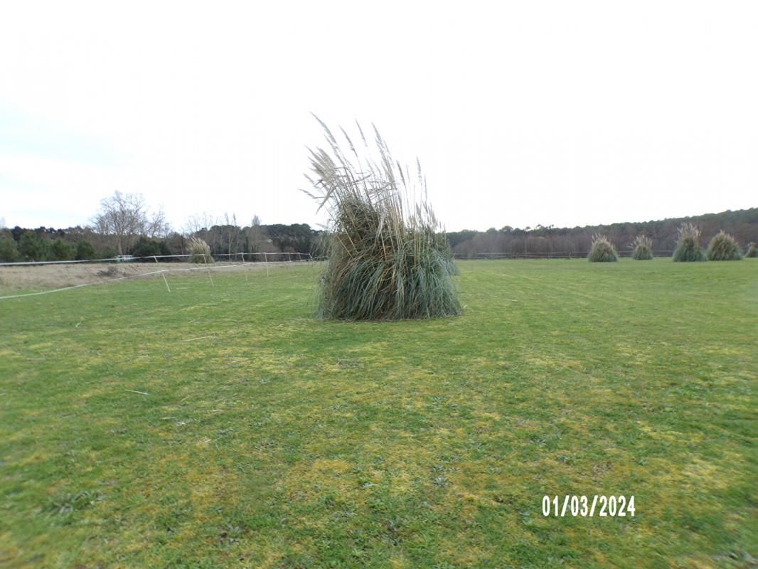 Terrain Soustons POUR INVESTISSEUR