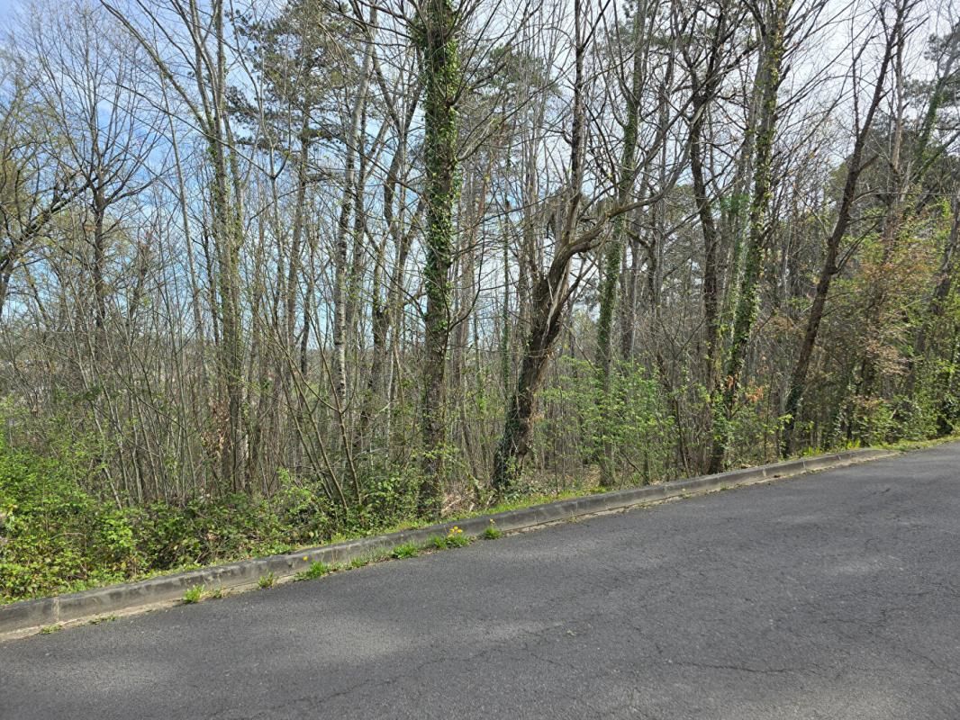 BOULAZAC Terrain boisé constructible, d'une surface de 2361 m², CU opérationnel, sur la commune de Boulazac Isle Manoir 2