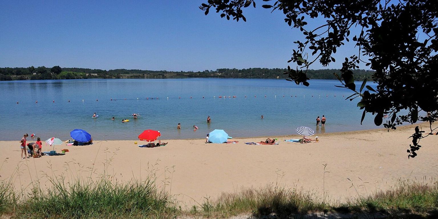 Rare , au bord du lac