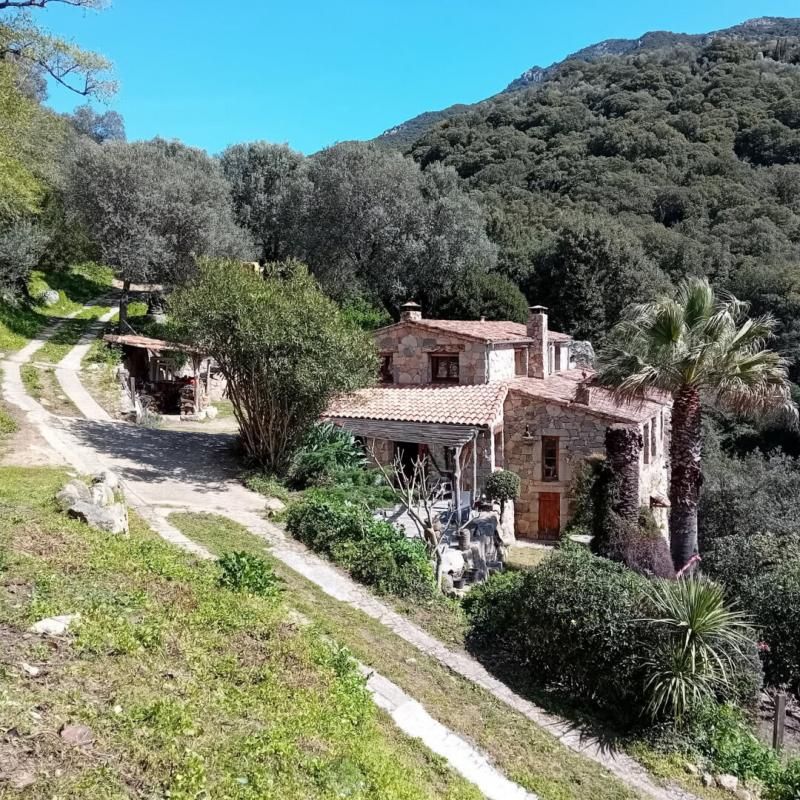 OLMETO En Corse du Sud, magnifique moulin rénové niché dans un écrin de verdure 4