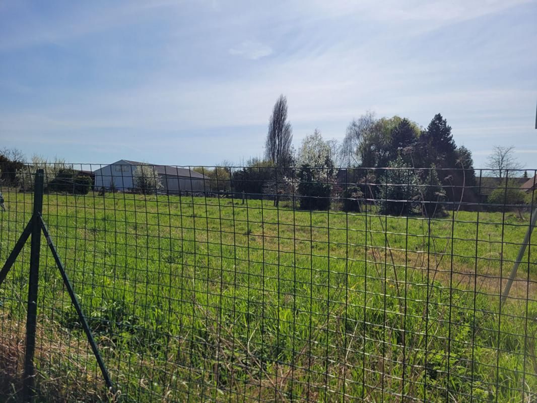 ORCHIES ORCHIES Appartement avec Jardin 2