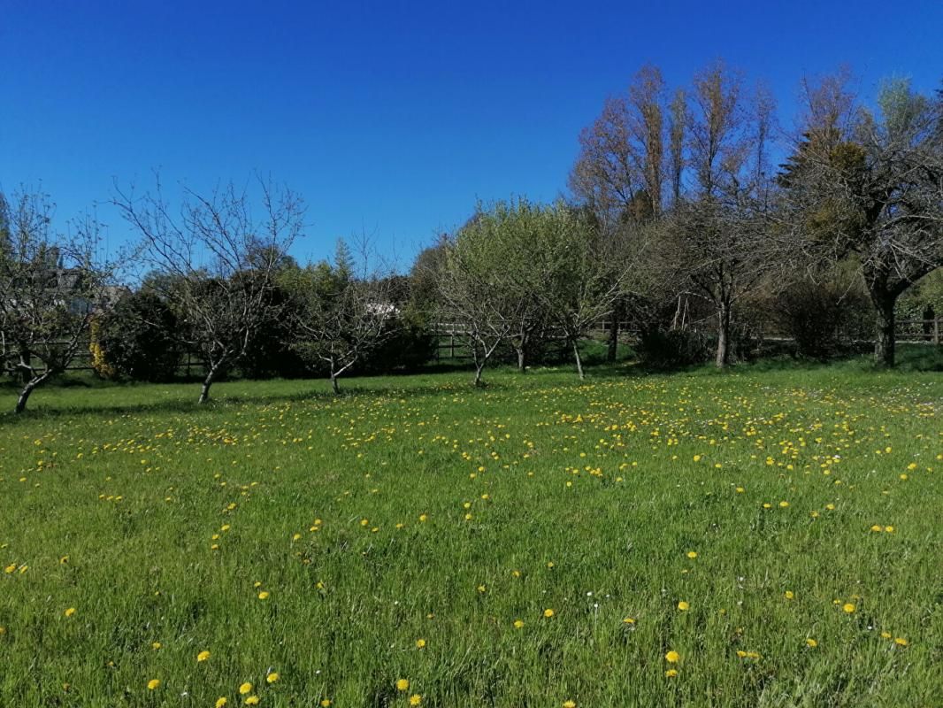 PLOERMEL Terrain Ploermel 1174 m2 4