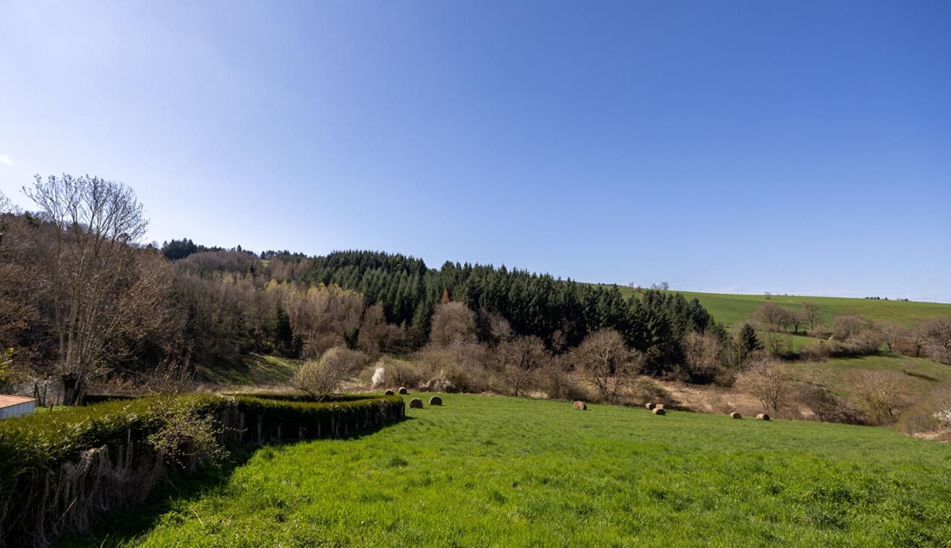 TARARE Charmante maison de hameau sur 1098 m² de terrain avec vue 2