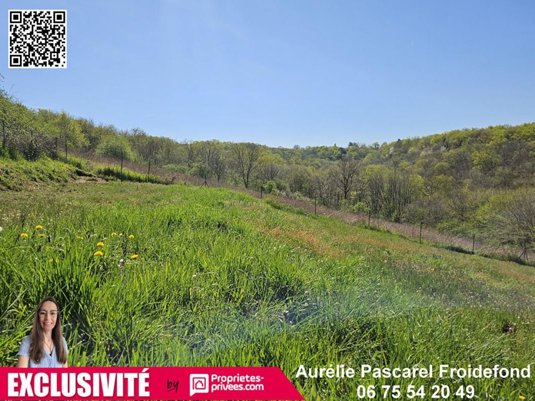 NOAILLES 10 min BRIVE -  Terrain CONSTRUCTIBLE  au CALME avec VUE - 3000 m2 - 34 990 4