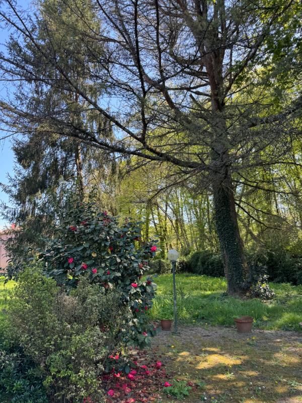 YVRAC Maison à Yvrac de 5 pièces de 99 m² - Sous-sol - Terrain de 1453 m² 2