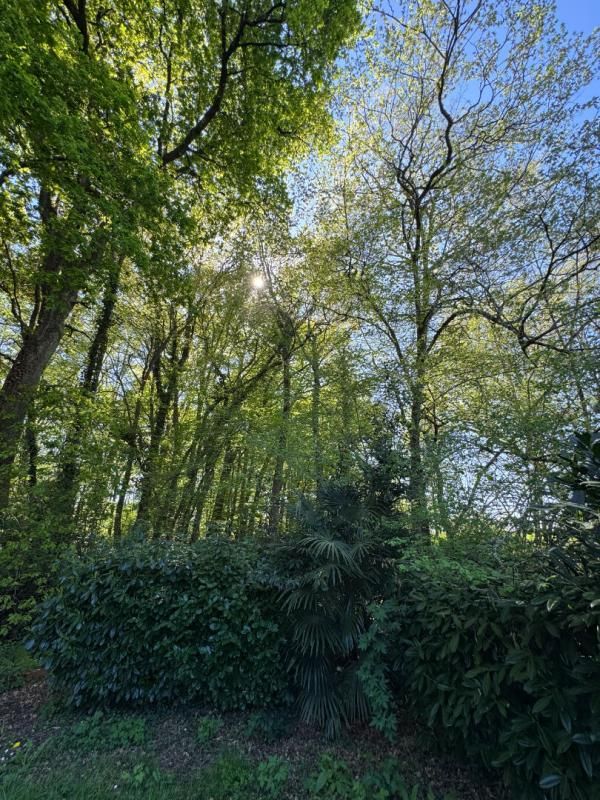 YVRAC Maison à Yvrac de 5 pièces de 99 m² - Sous-sol - Terrain de 1453 m² 4