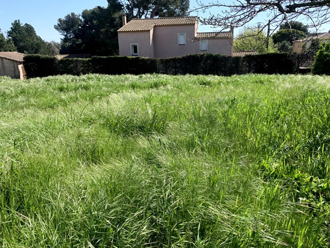 TERRAIN A BATIR LA COURONNE