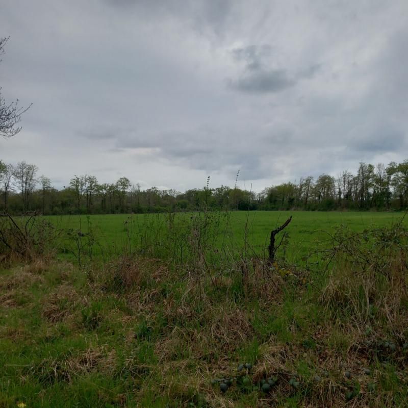 COULLONS Propriété de chasse Coullons 4