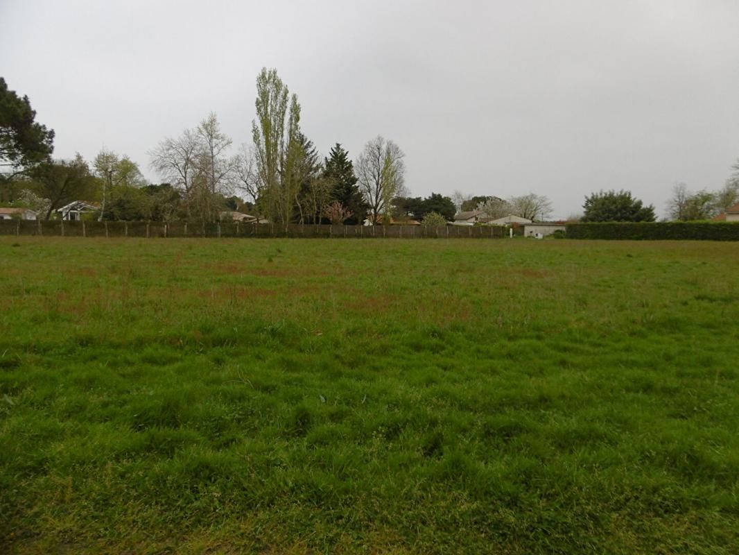 Terrain 1500 m2
