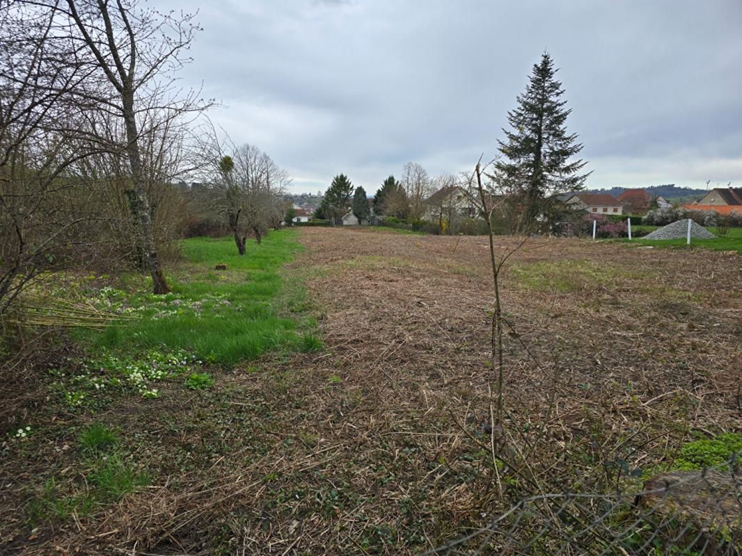 Terrain Cusset 2019 m2