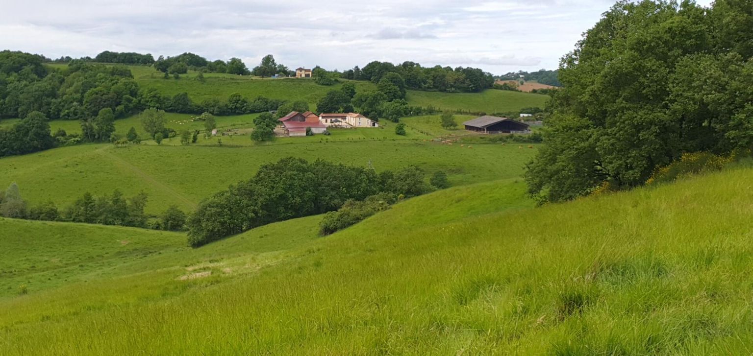 MARCIAC Propriété  rurale et d'agrément de 109 hectares 2