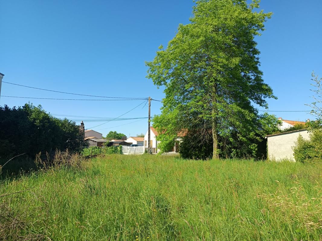 PONT-SAINT-MARTIN Terrain Pont Saint Martin 810 m2 3