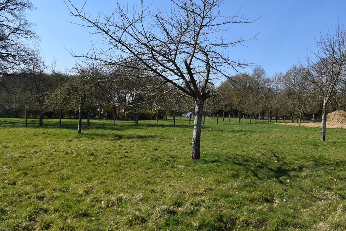 HAUVILLE HAUVILLE ( 27350) - Terrain constructible 958 m2 4